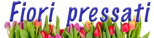 headerNav